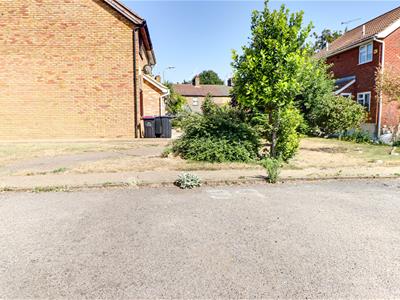 Picture 20